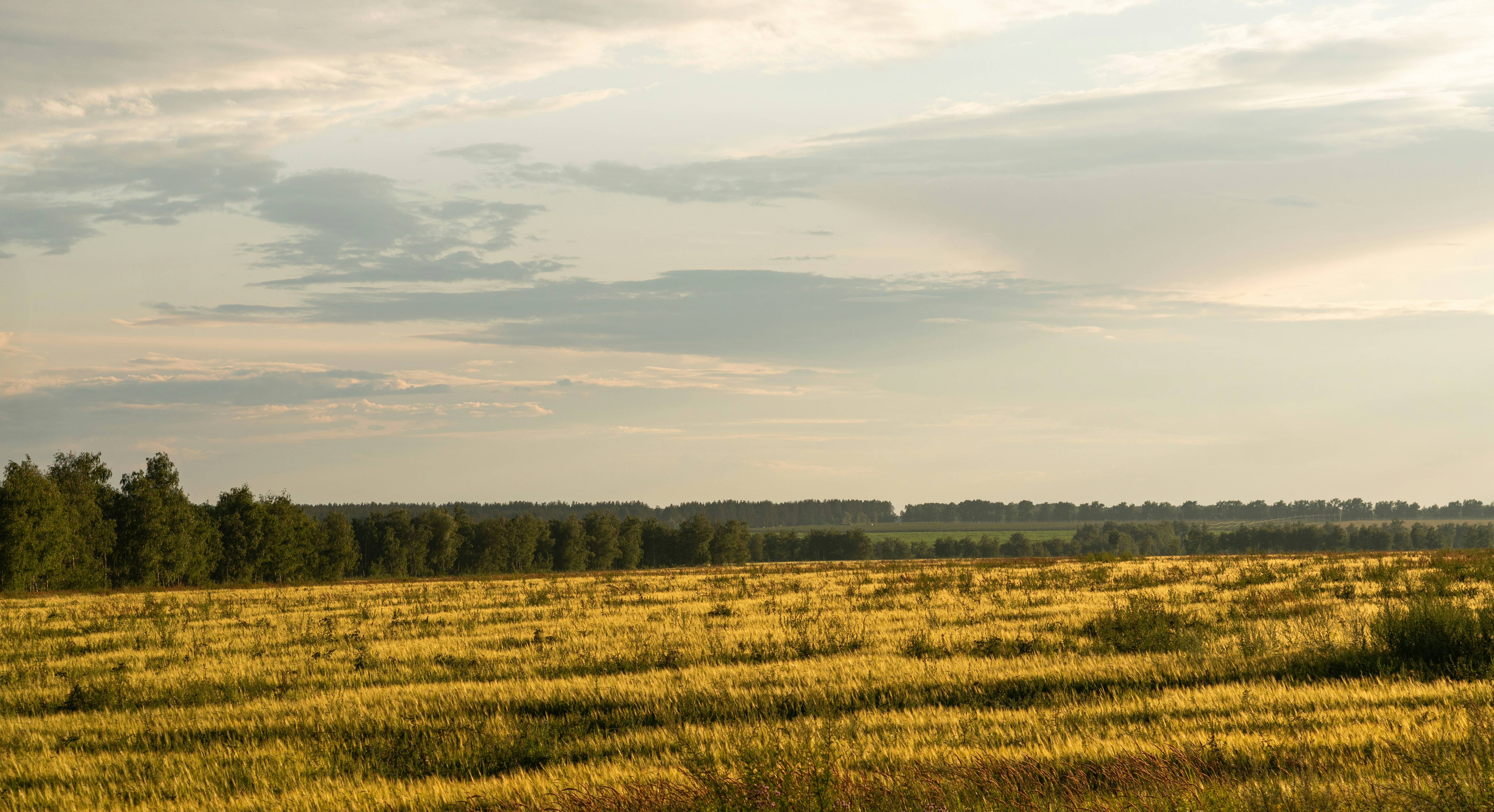 Photo by angrygrandmama