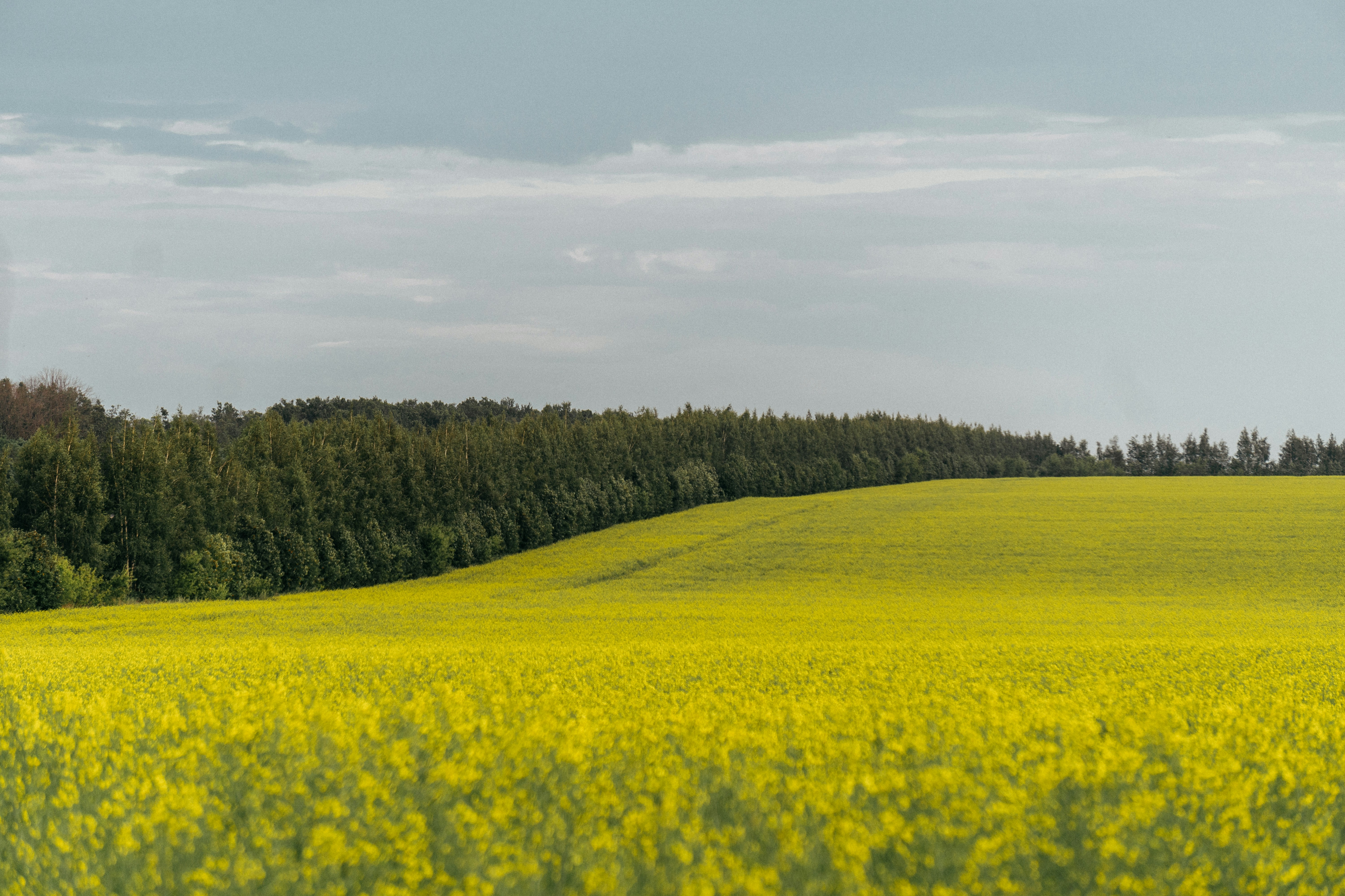 Photo by angrygrandmama