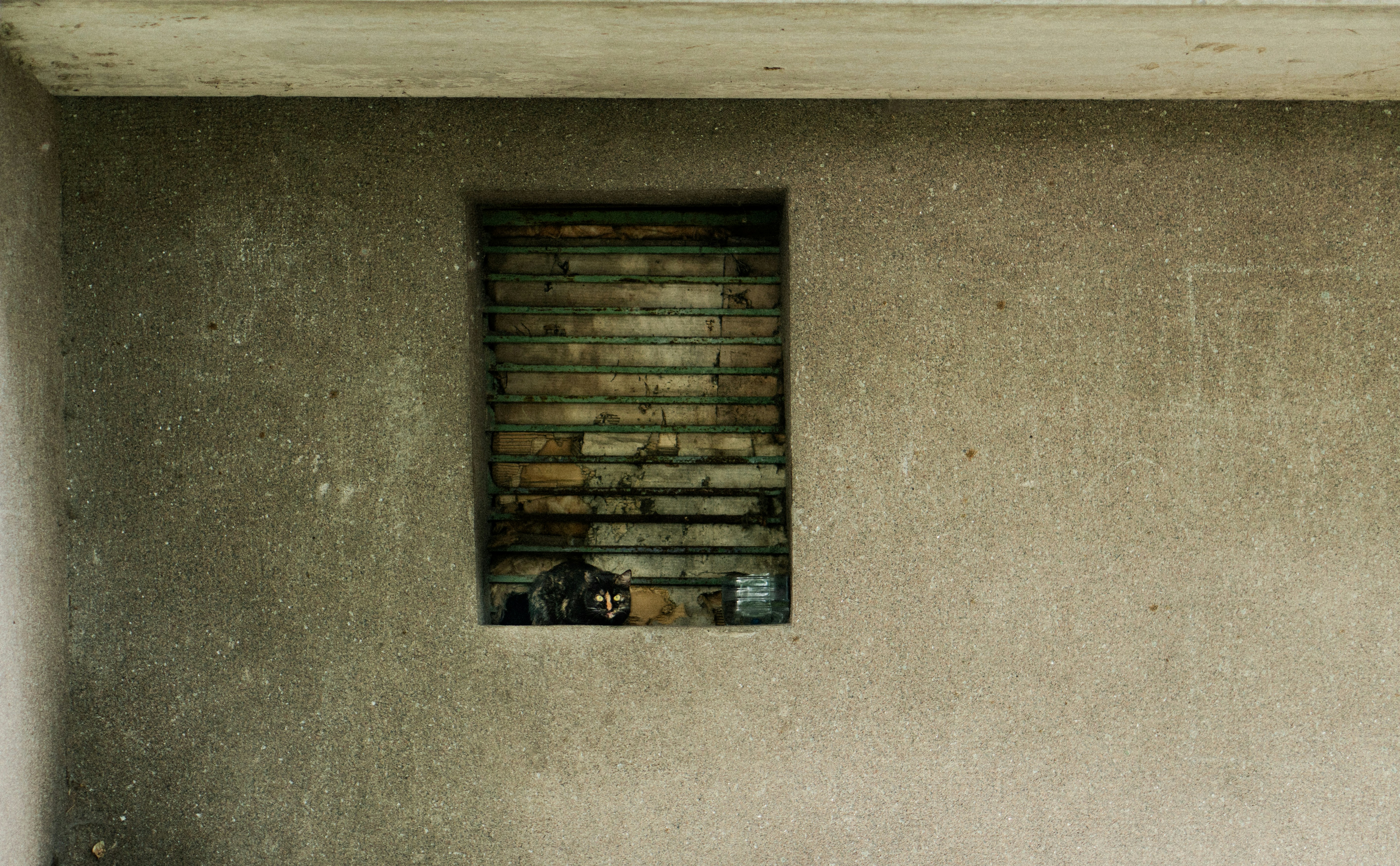 Photo by angrygrandmama