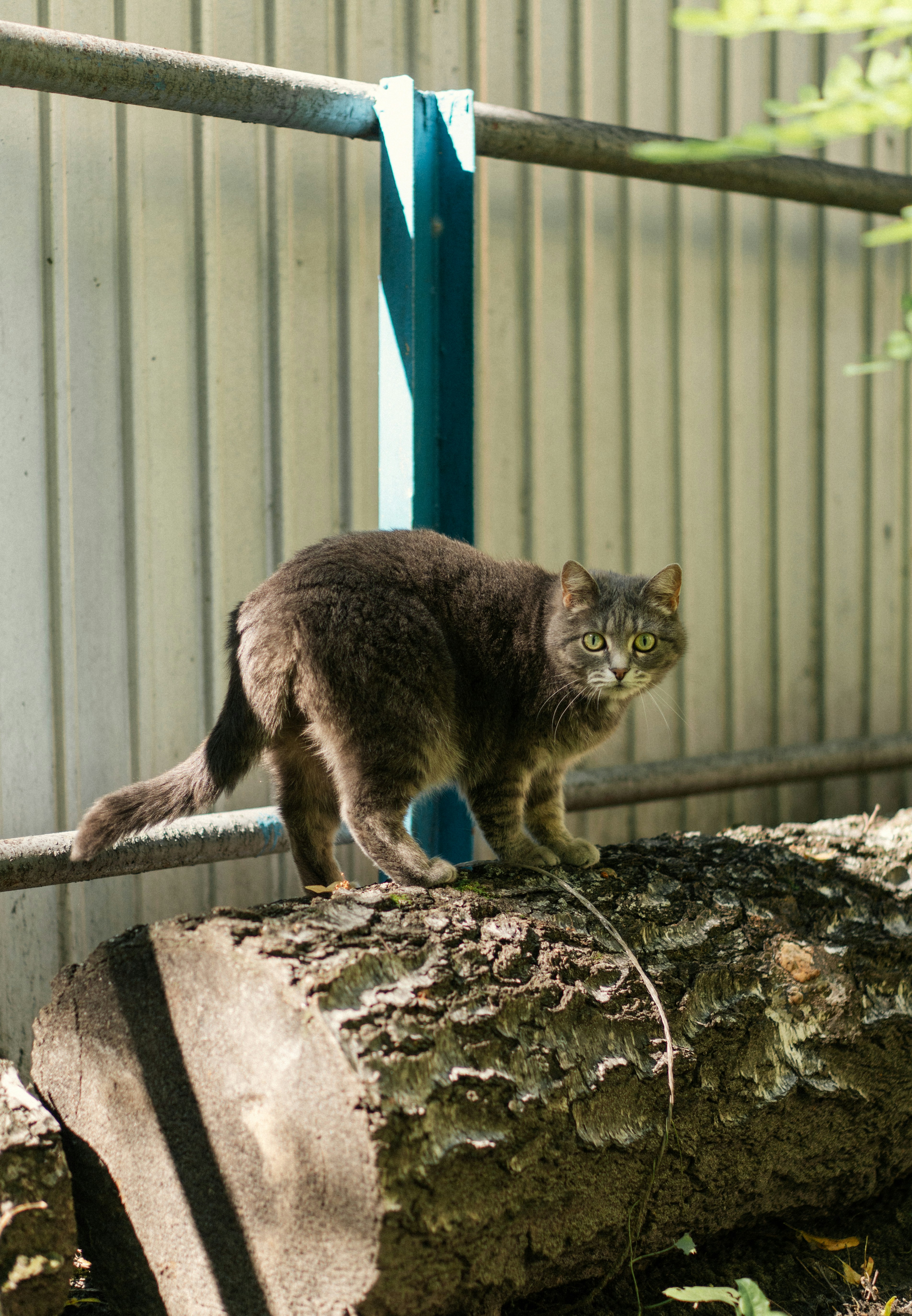 Photo by angrygrandmama