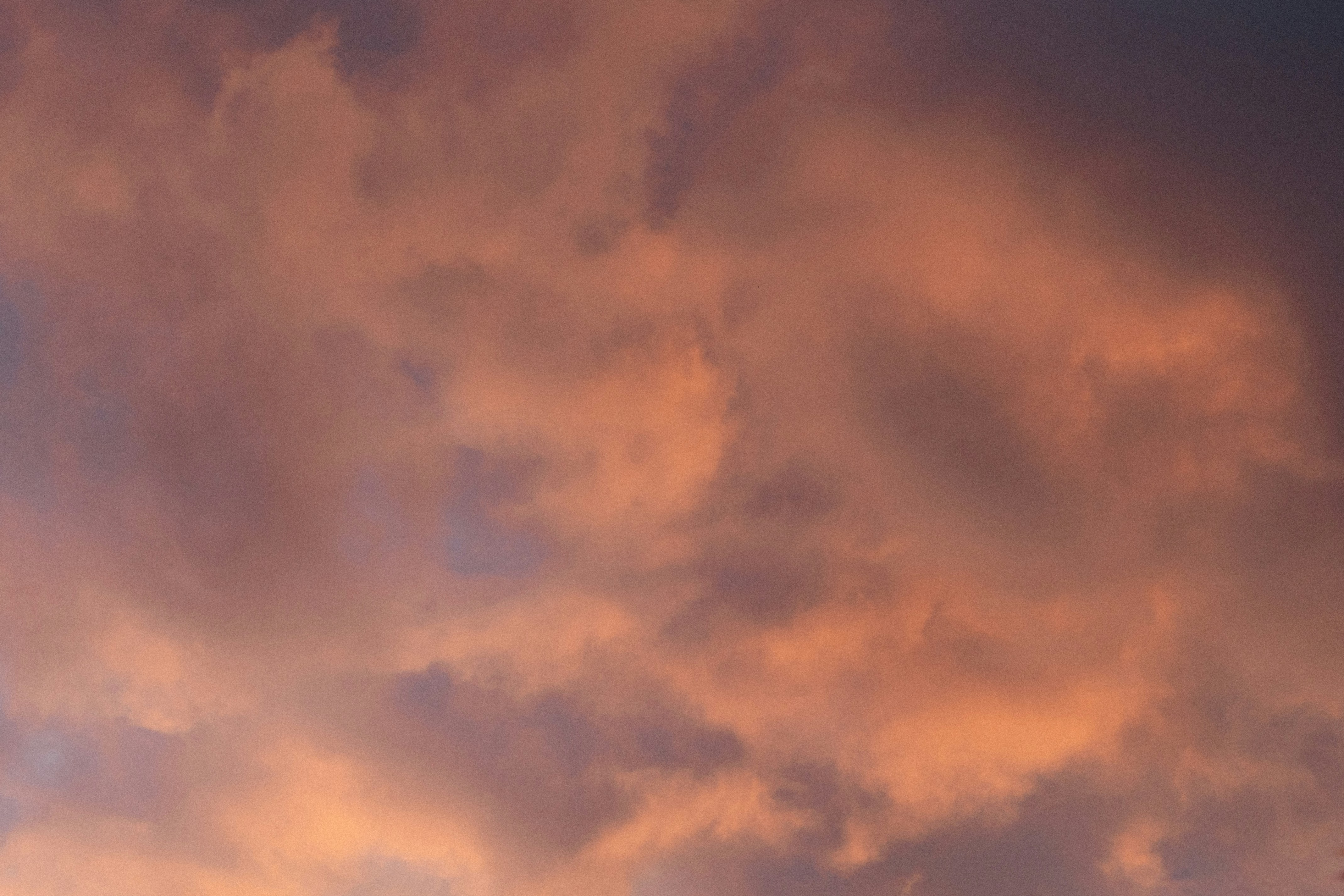 Photo by angrygrandmama