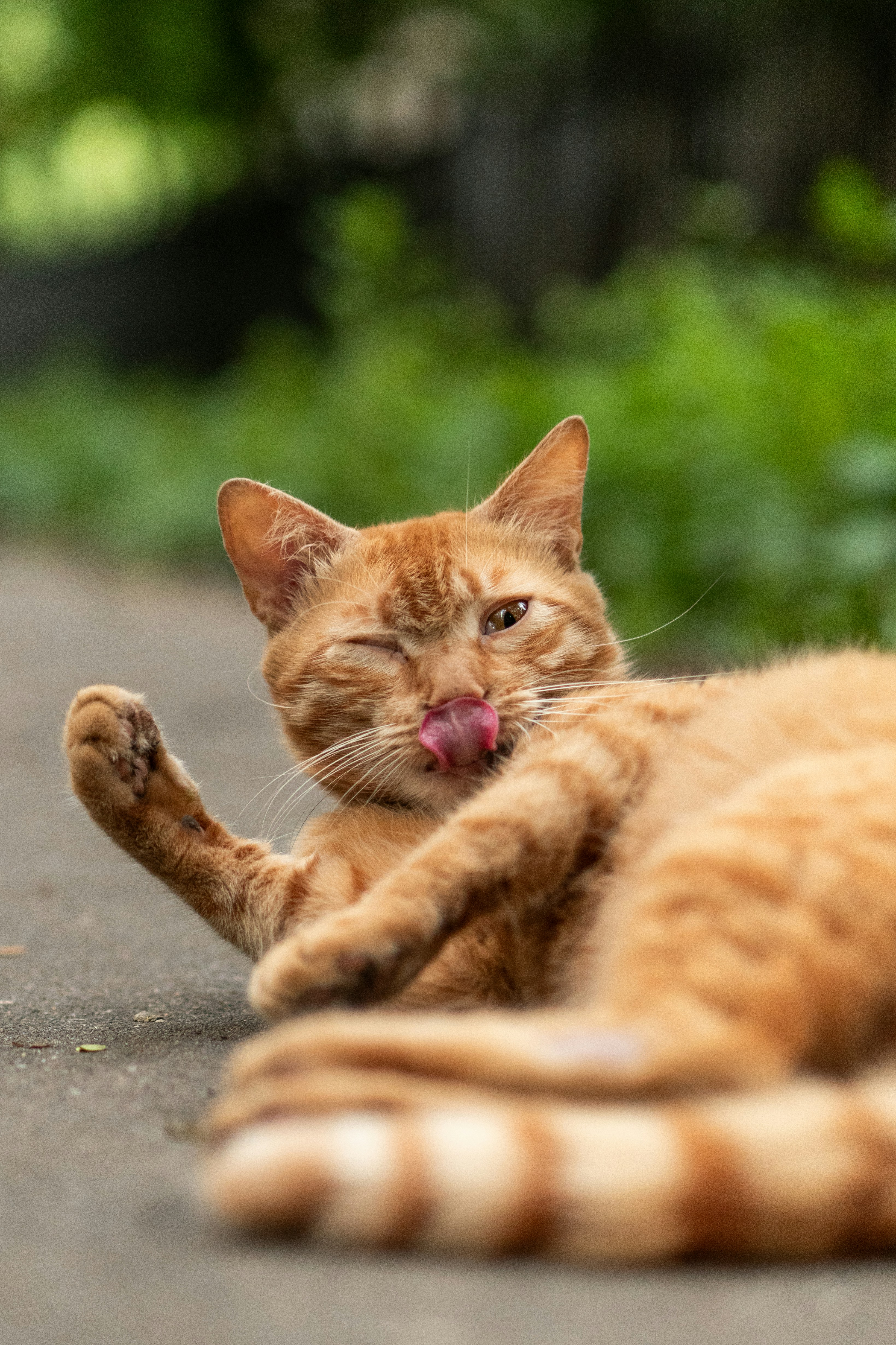 Photo by angrygrandmama