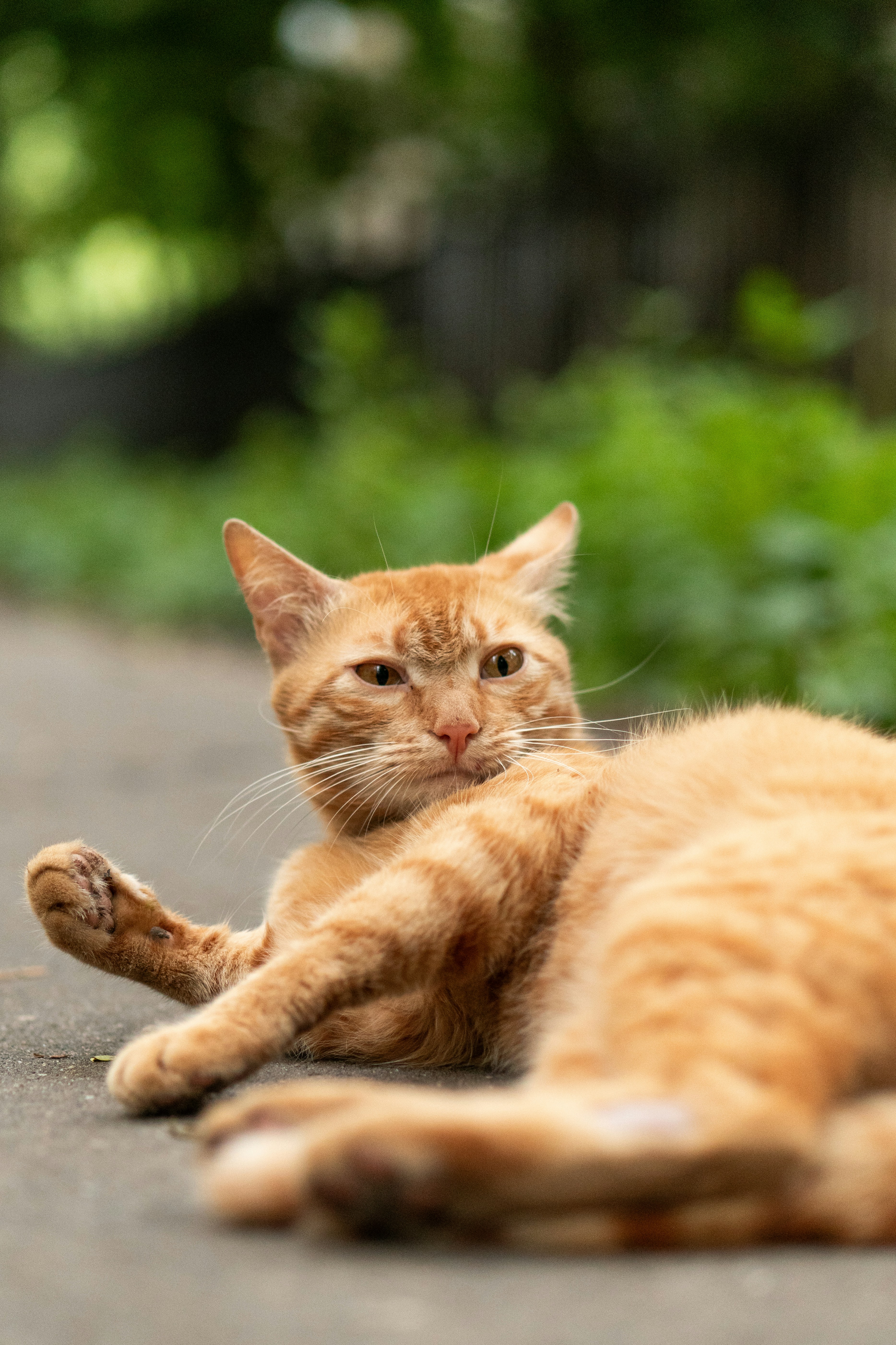 Photo by angrygrandmama