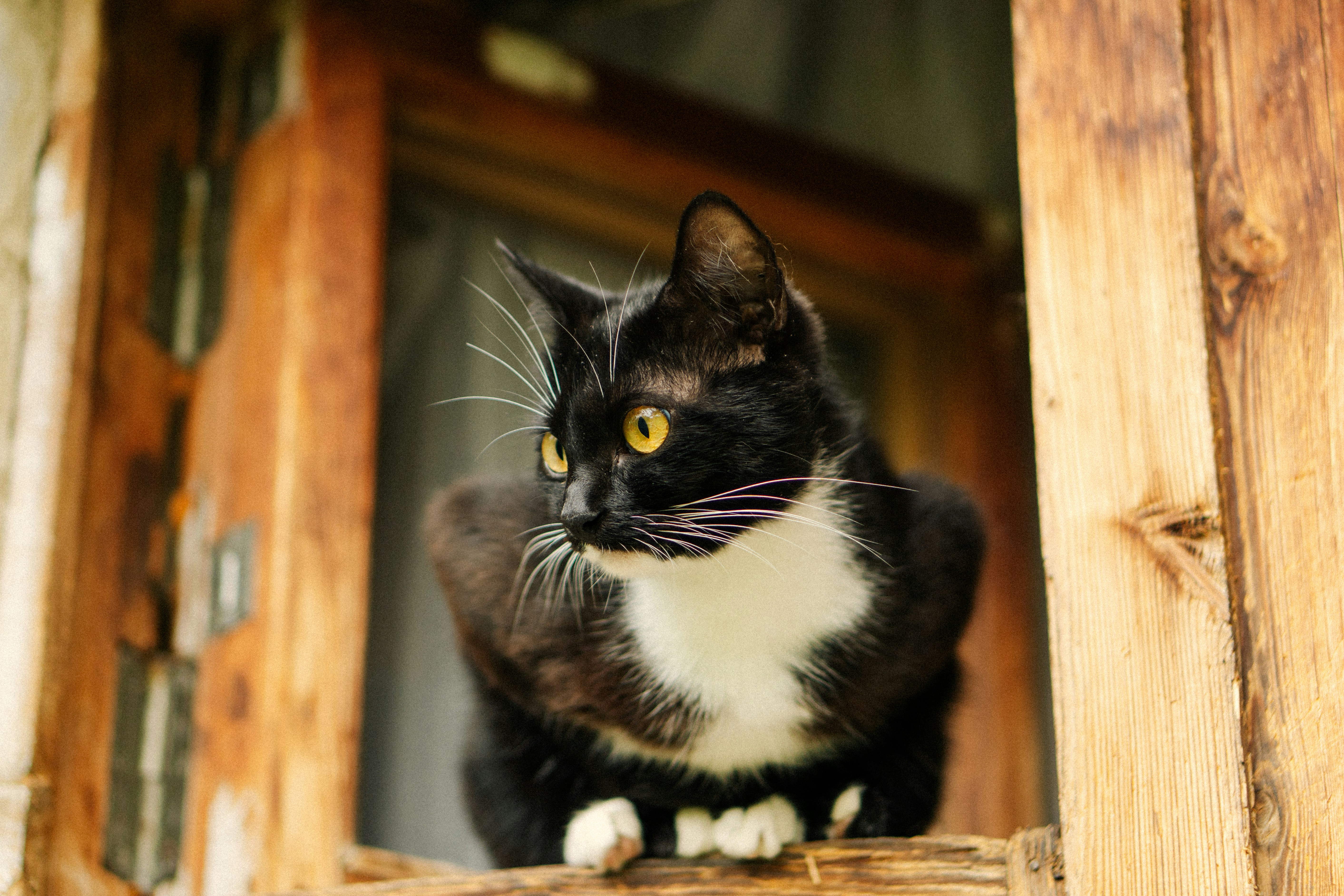 Photo by angrygrandmama