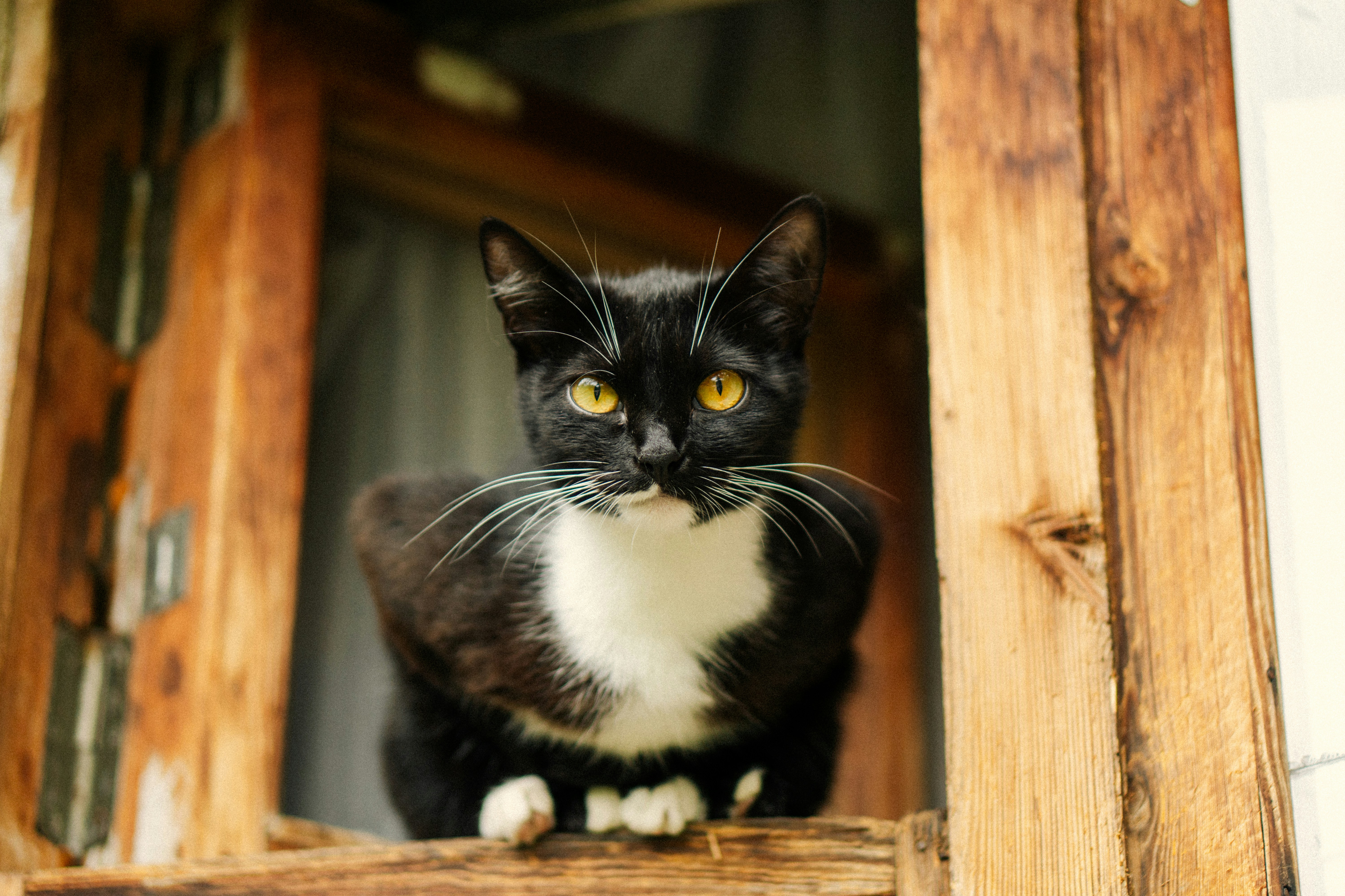 Photo by angrygrandmama