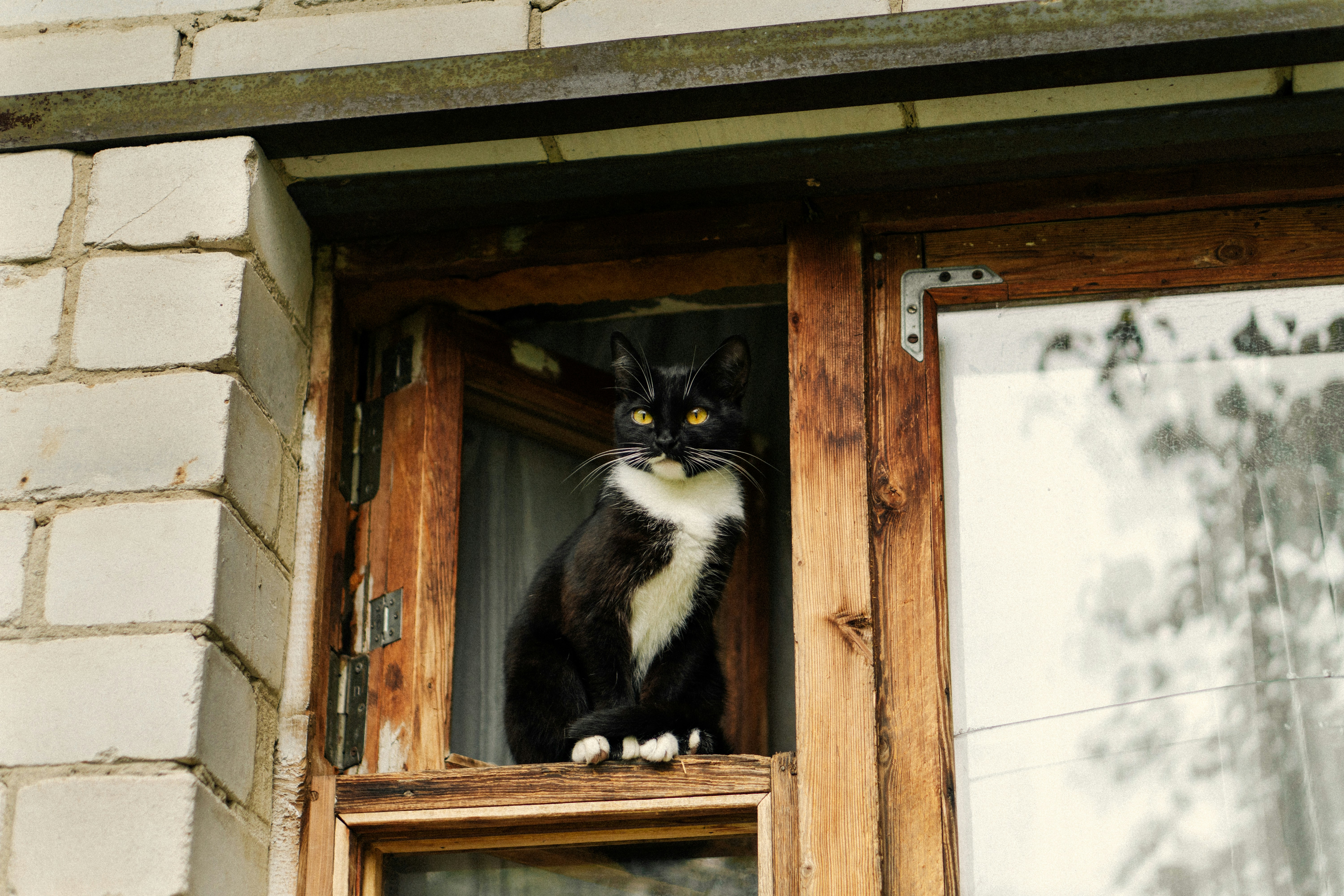 Photo by angrygrandmama