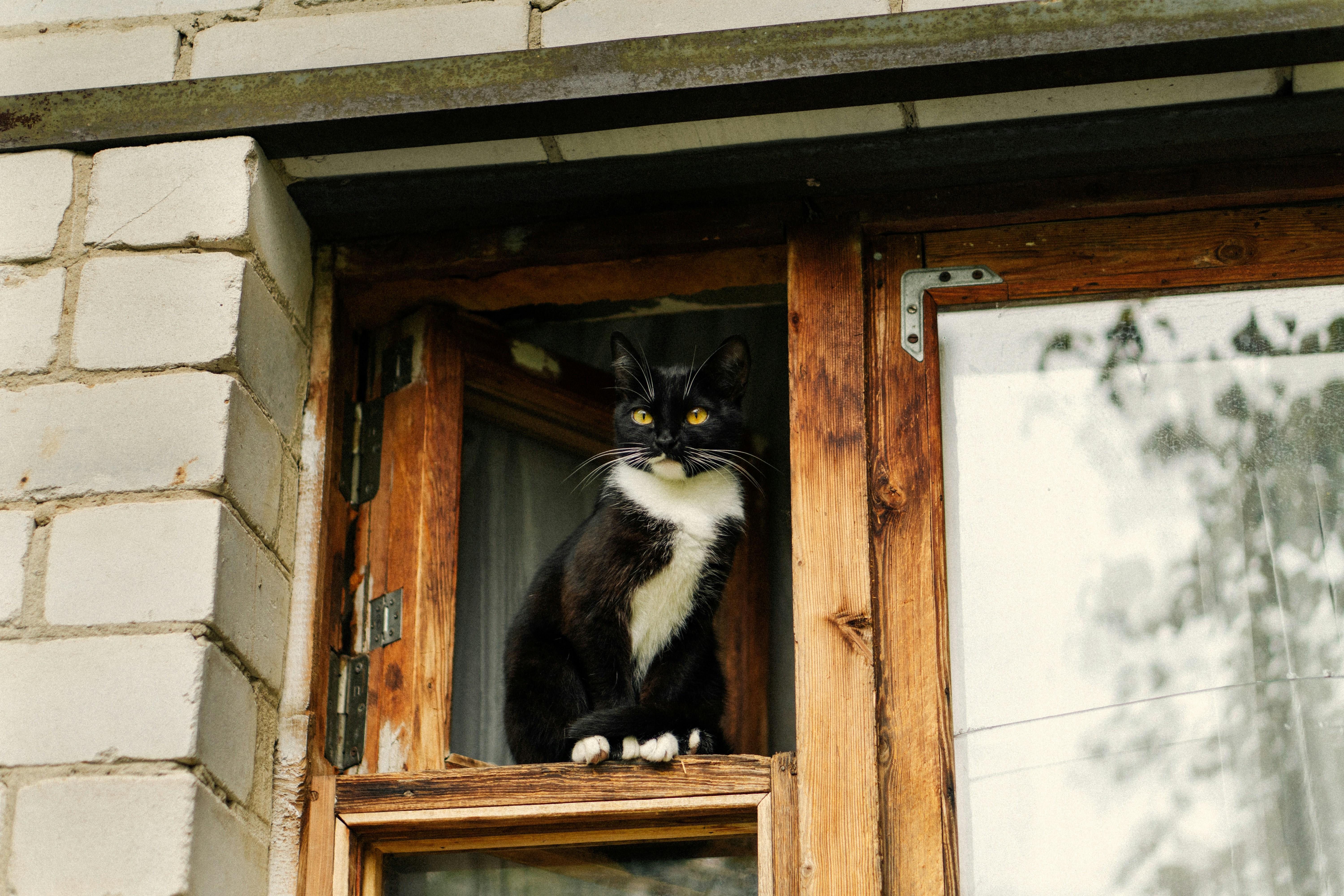 Photo by angrygrandmama