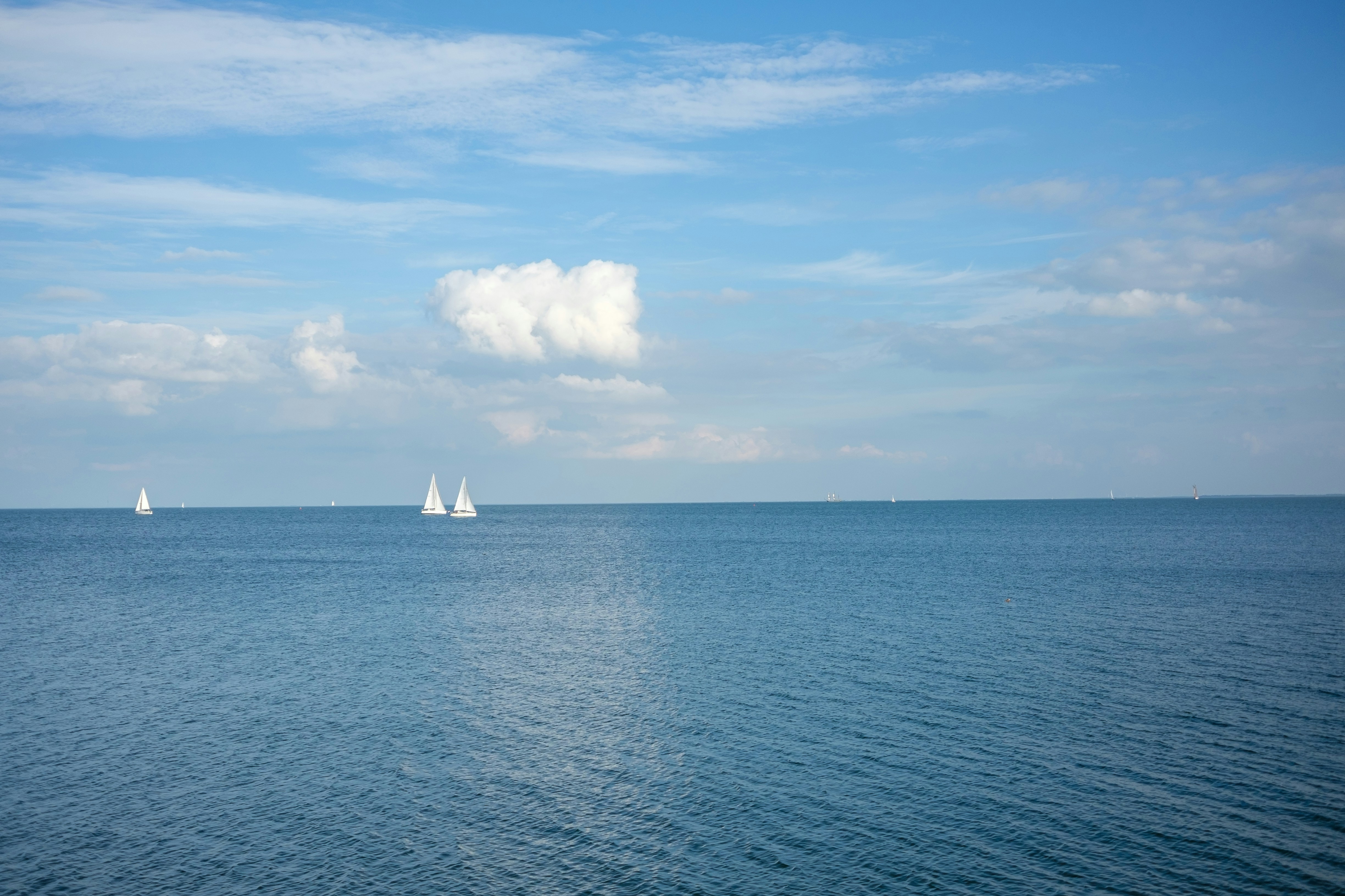 Photo by mayumimaciel