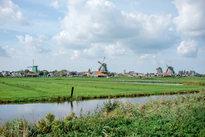 A peaceful landscape of green fields and windmills in Friesland.