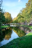 a river running through a lush green park