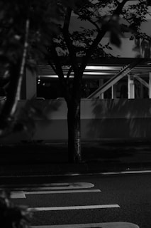 A black and white photograph of an urban street scene featuring a tree situated on a sidewalk. The tree casts shadows on the surrounding pavement. A blurred background suggests a building facade with structural elements and overhead lighting. The road surface in the foreground has painted markings.