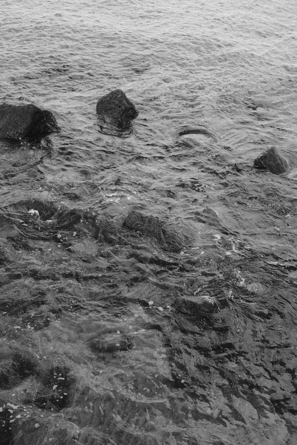 Una foto en blanco y negro de algunas rocas en el agua