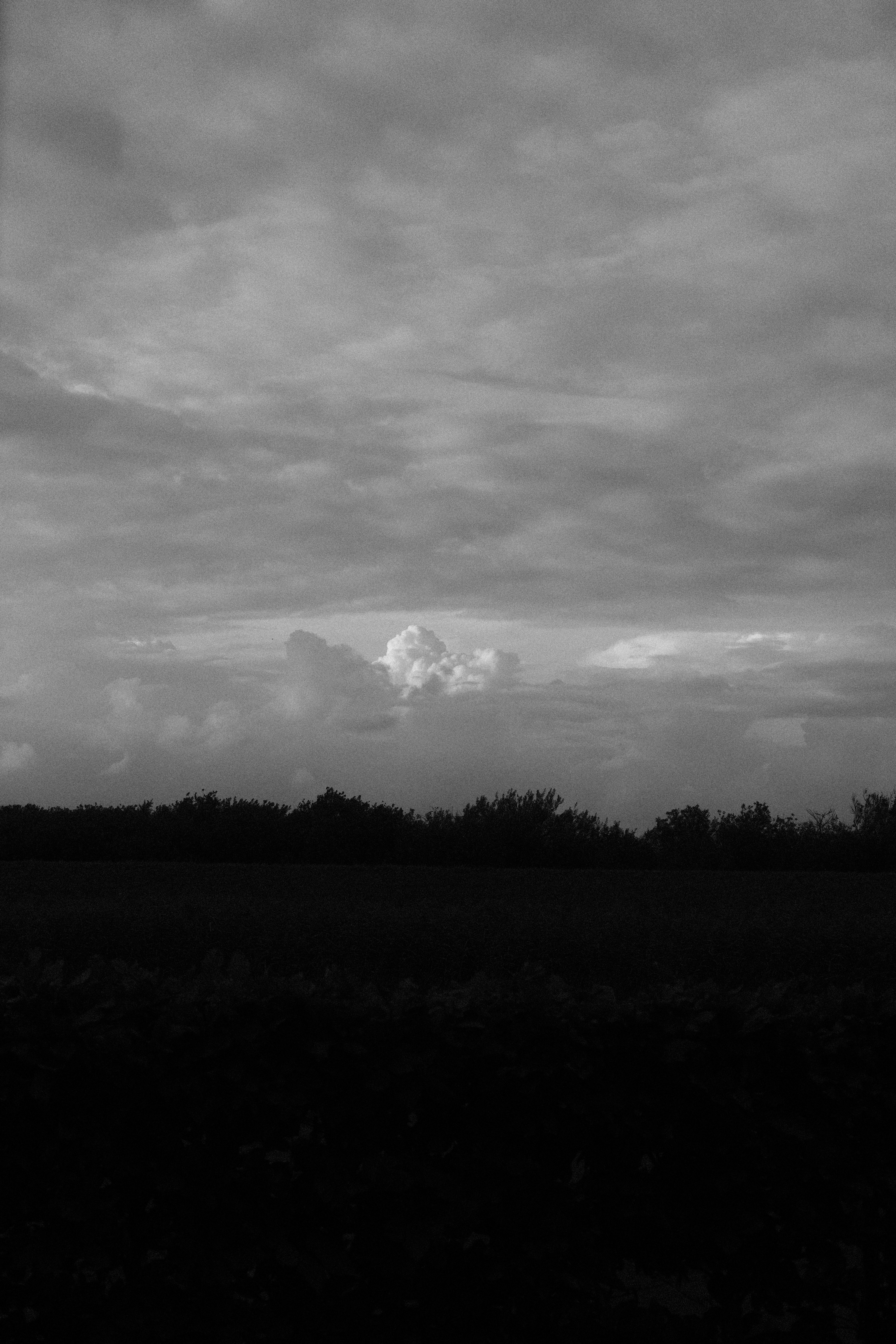 Une photo en noir et blanc d’un ciel nuageux