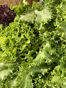 Organic Lettuce