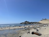 A lively seaside scene at Bournemouth beach with families enjoying the sun.