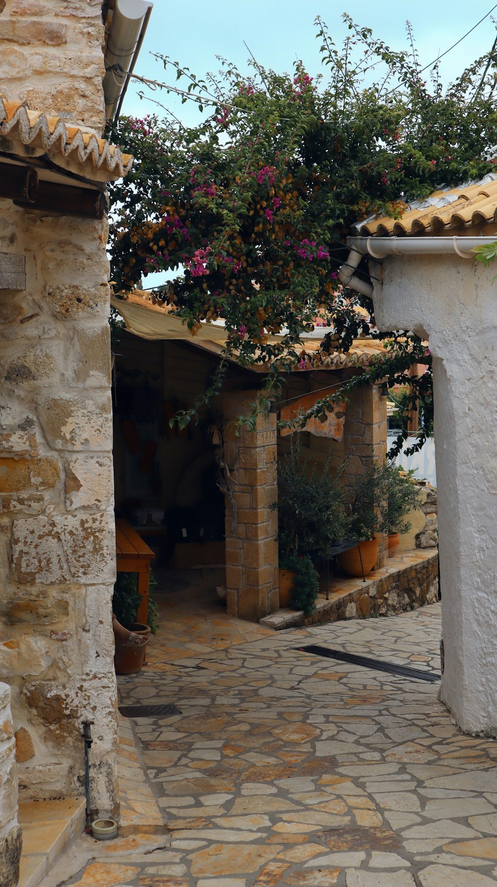 a cobblestone street with a stone building and a potted plant