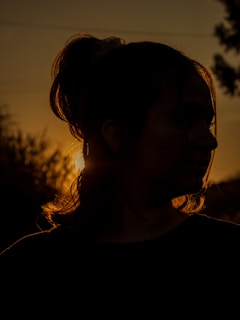 A silhouette of Elara framed by the golden light of sunset, her luxurious coat catching the breeze.