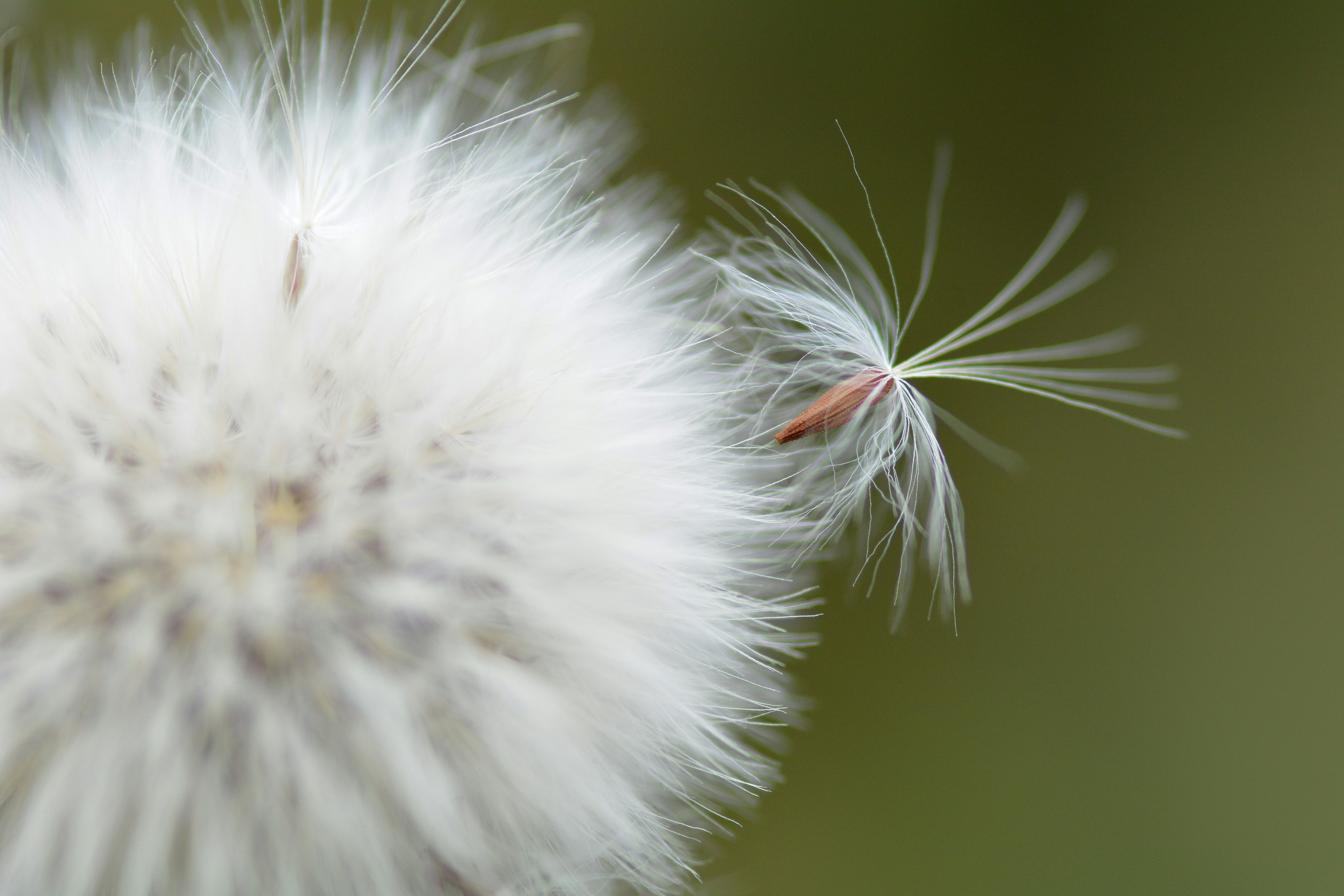 Photo by jersey_photos