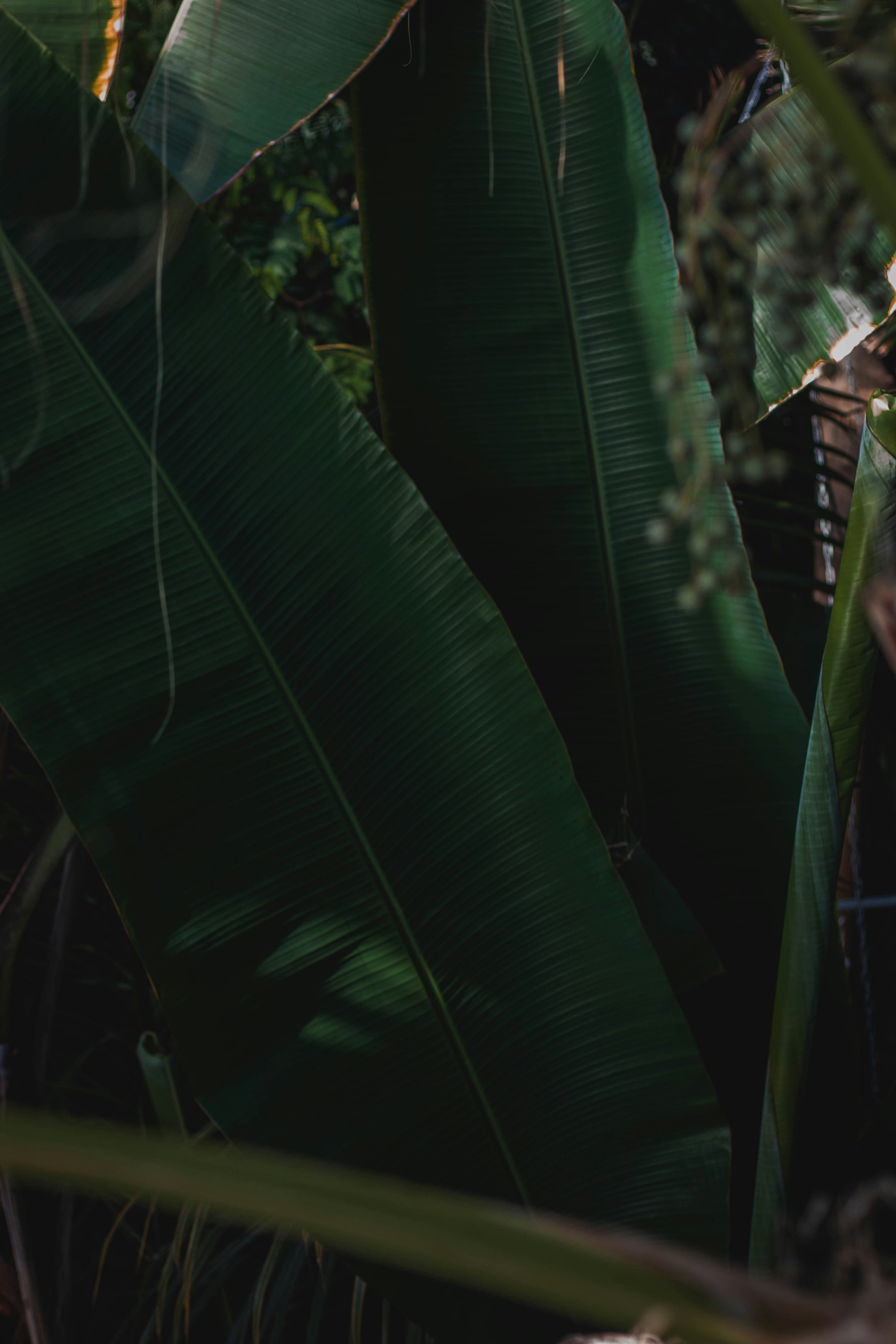 Photo by infernisvox