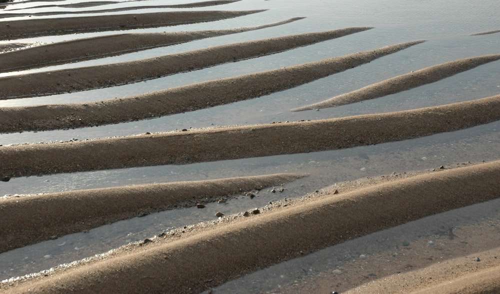 a sandy beach covered in lots of water