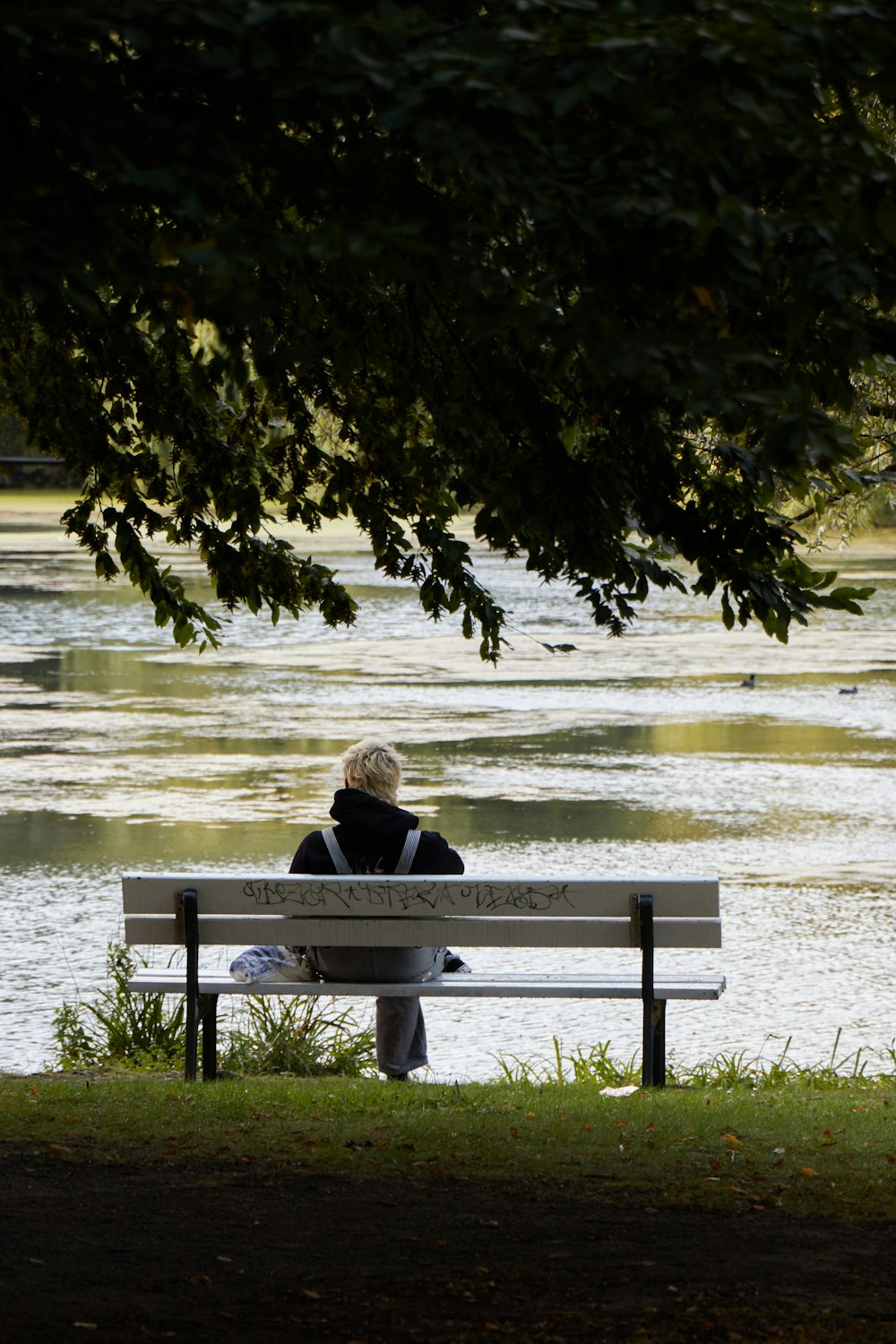 a person sitting on a bench near a body of water