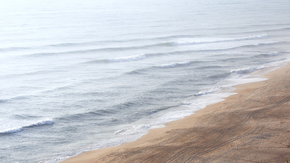 eine Person, die auf einem Surfbrett an einem Strand fährt