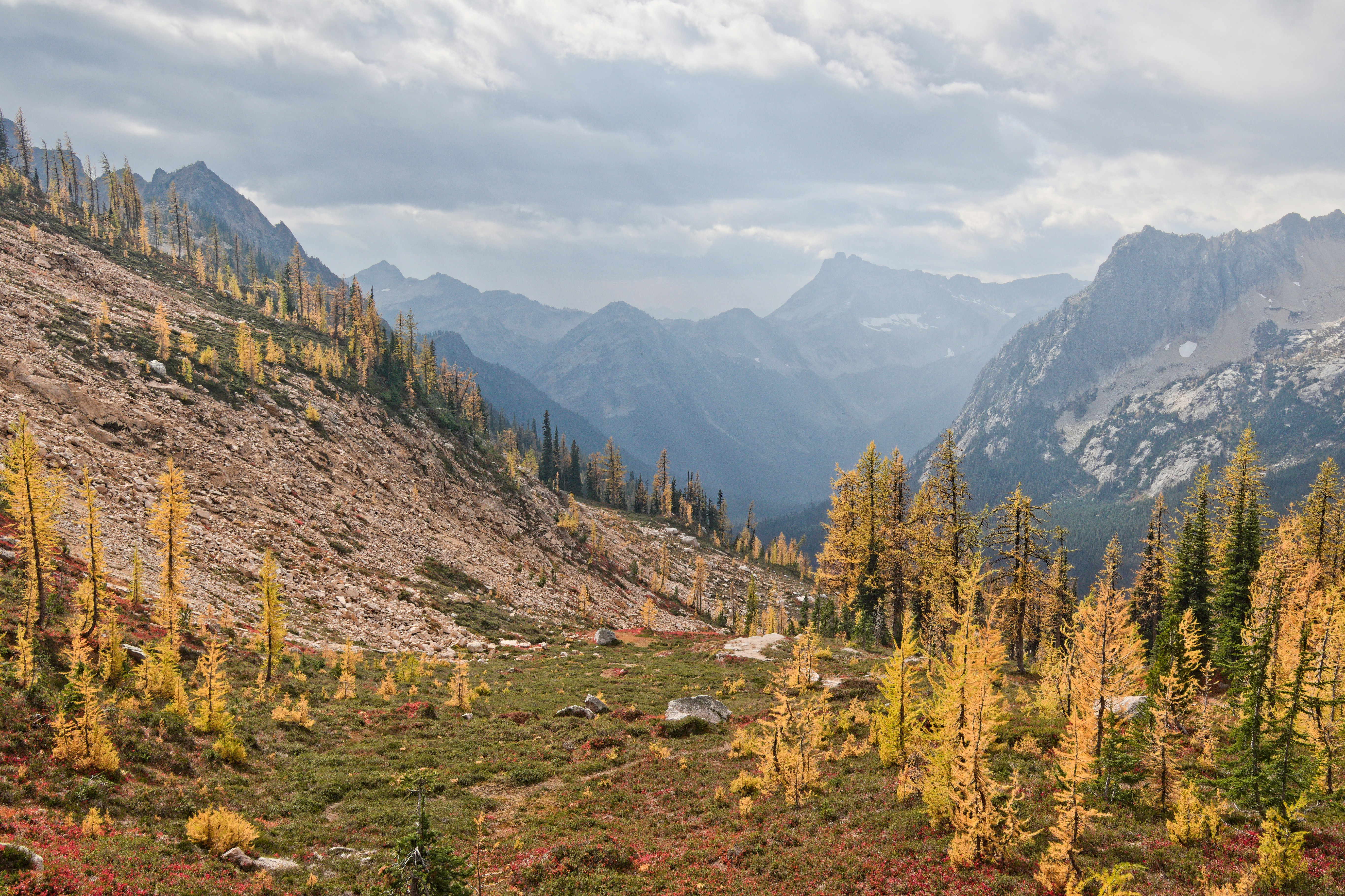 Photo by photerrestrial