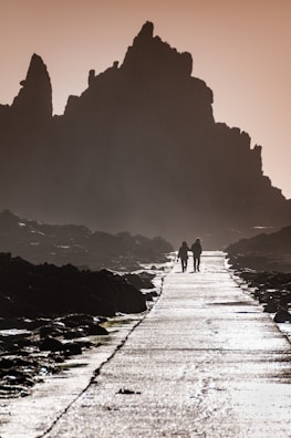A misty pathway leads through rugged terrain with towering rock formations silhouetted against a dusky sky. Two figures walk side by side along the path, creating a sense of companionship. The surface of the path reflects light, highlighting the texture and wetness of the ground.
