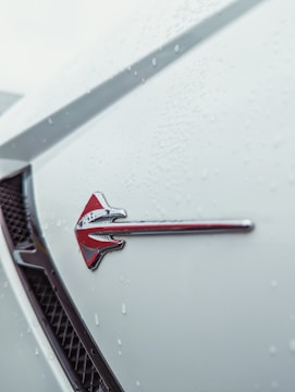 Close-up view of a car's exterior surface covered with raindrops. A red and silver arrow emblem is prominently displayed on the vehicle's white body, with a black grille visible in the background.