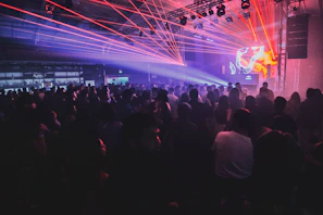 a large crowd of people at a concert