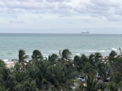 A cruise ship sails on a vast ocean under a cloudy sky. In the foreground, tall palm trees dominate the view, partially obscuring a sandy beach. A few people can be seen enjoying the beach near the palms.