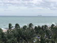 A cruise ship sails on a vast ocean under a cloudy sky. In the foreground, tall palm trees dominate the view, partially obscuring a sandy beach. A few people can be seen enjoying the beach near the palms.
