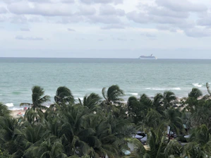 A joyful traveler holding a cruise ship ticket with a sunny ocean backdrop.