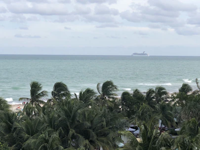 A joyful traveler holding a cruise ship ticket with a sunny ocean backdrop.