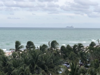 A cruise ship sails on a vast ocean under a cloudy sky. In the foreground, tall palm trees dominate the view, partially obscuring a sandy beach. A few people can be seen enjoying the beach near the palms.