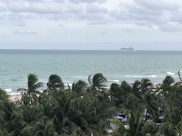 A cruise ship sails on a vast ocean under a cloudy sky. In the foreground, tall palm trees dominate the view, partially obscuring a sandy beach. A few people can be seen enjoying the beach near the palms.