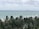 A cruise ship sails on a vast ocean under a cloudy sky. In the foreground, tall palm trees dominate the view, partially obscuring a sandy beach. A few people can be seen enjoying the beach near the palms.