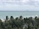 A cruise ship sails on a vast ocean under a cloudy sky. In the foreground, tall palm trees dominate the view, partially obscuring a sandy beach. A few people can be seen enjoying the beach near the palms.