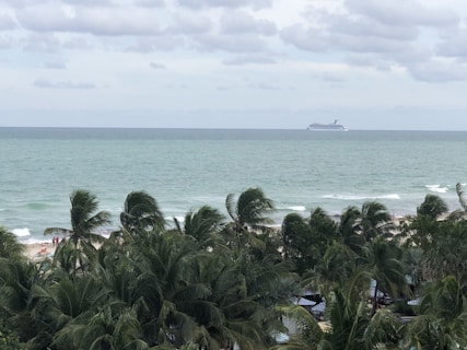 A cruise ship sails on a vast ocean under a cloudy sky. In the foreground, tall palm trees dominate the view, partially obscuring a sandy beach. A few people can be seen enjoying the beach near the palms.