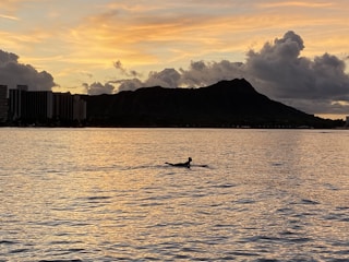 A person is paddling on a surfboard in calm waters during sunset. In the background, tall buildings are visible to the left, and a large mountain is silhouetted against a sky with scattered clouds. The water reflects the warm hues of the sunset.