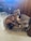 A brown dog is sitting on a round pet bed, looking towards the camera. Another dog, with a brindle coat, is partially visible underneath the brown dog, laying on the same bed. The setting includes a wooden wall and a black chair in the background.