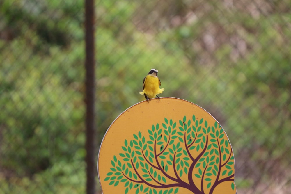 um pequeno pássaro amarelo sentado em cima de um sinal