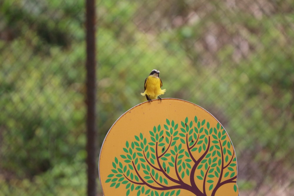 a small yellow bird sitting on top of a sign