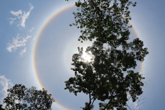 Amazon Rainforest: Expanding Community Conservation