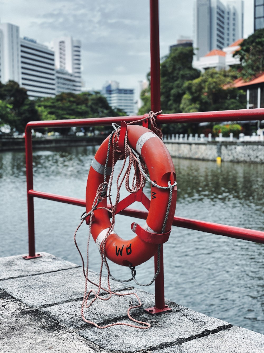 a life preserver sitting on the edge of a body of water