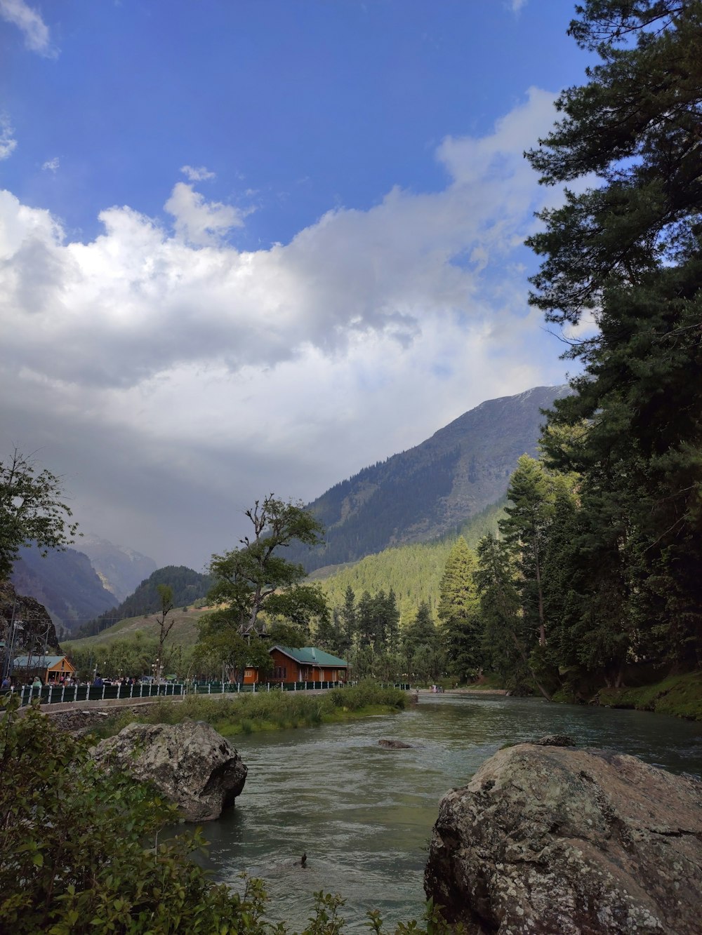 a river running through a lush green forest