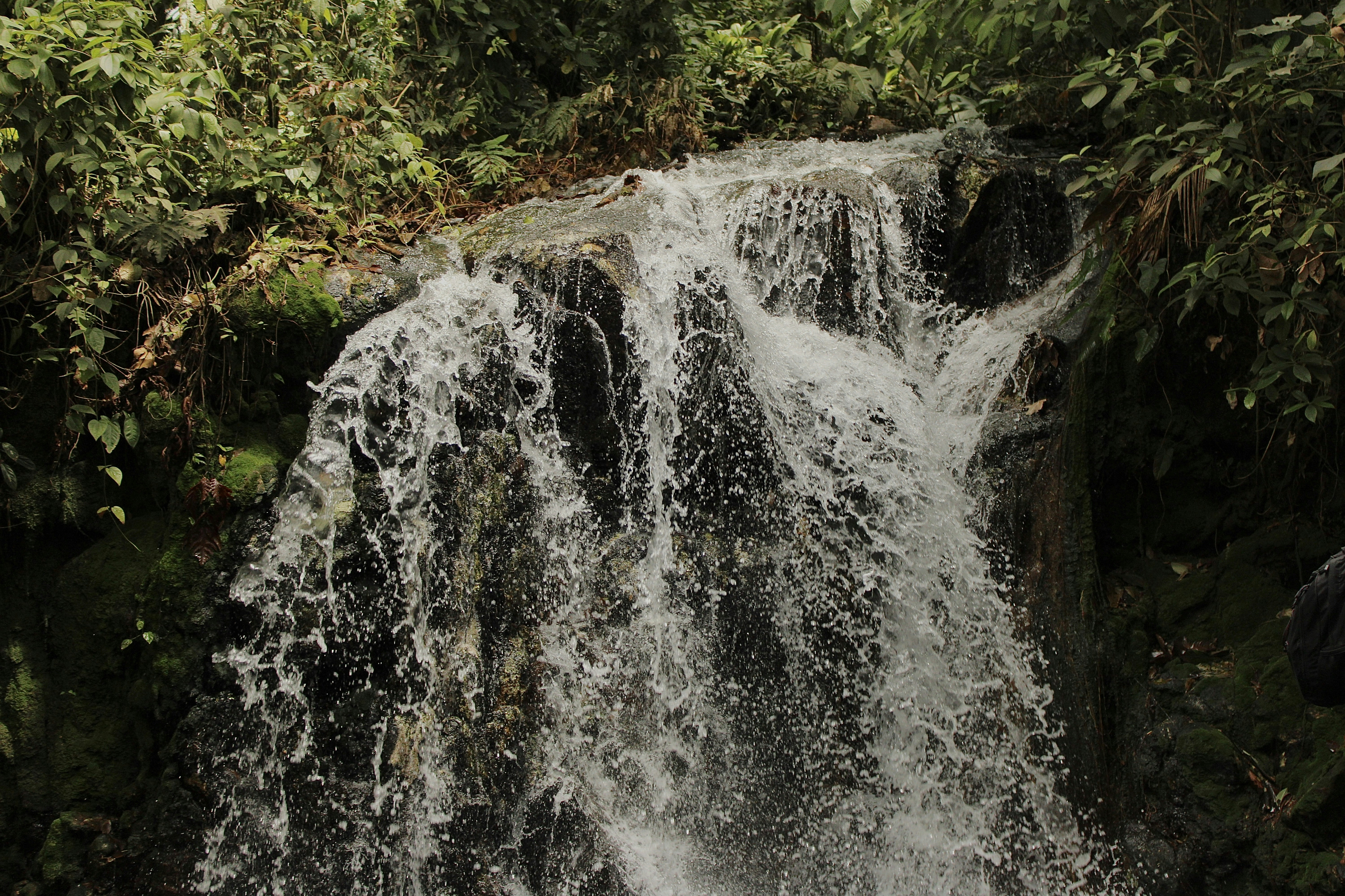 Photo by xzavierdownes