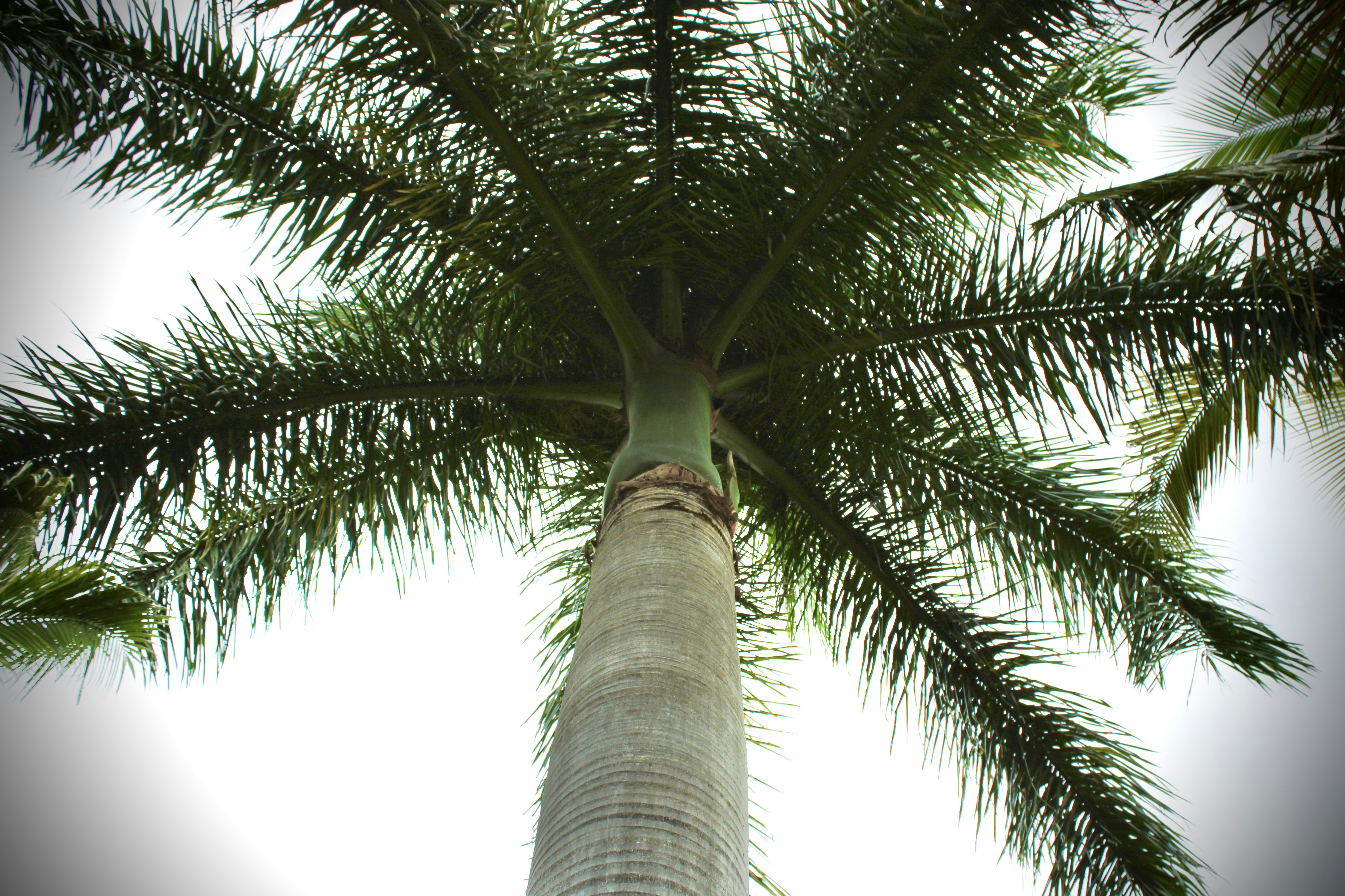 Photo by xzavierdownes