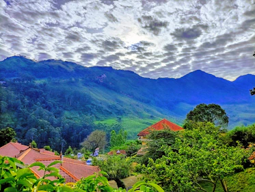 Scenic view of a serene finca landscape with earth-tone skies and natural elements.