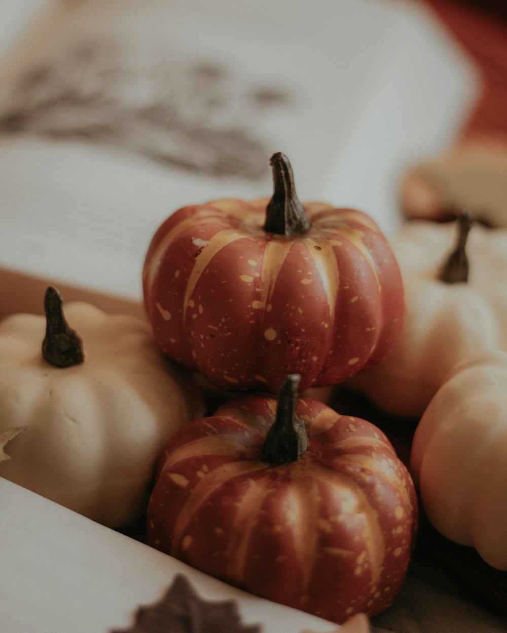 a group of pumpkins sitting on top of a table